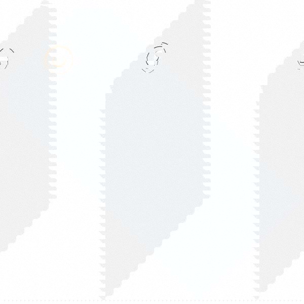 Blank Tag: 4-1/4'' High, White, Synthetic Paper